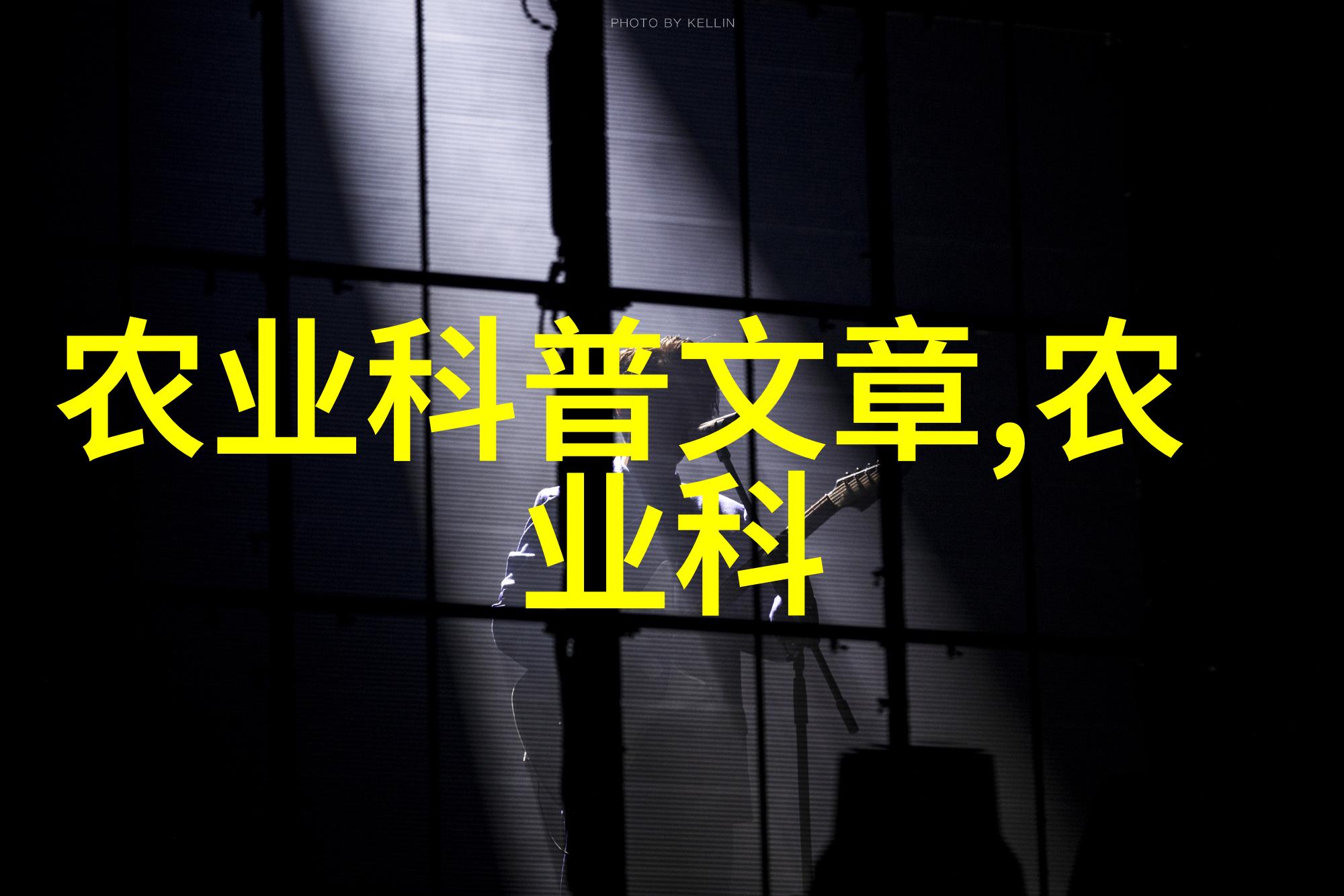 东方奇葩日本台湾和印度的特色茶叶