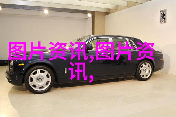 金钱之树果实丰硕揭秘那些最赚钱又不愁销路的奇特种植技巧