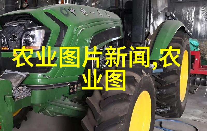 在四川什么是最佳的油料作物选项