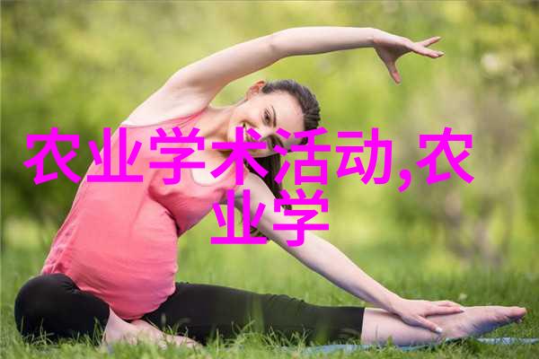 羊的繁殖秘诀揭秘它们如何轻易怀上多胎