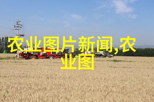 生态多样性优先有机种植方法和其对环境影响的探讨