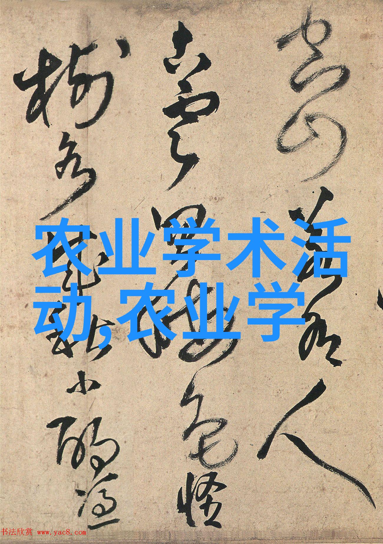 茶香绕肺品味古老的叶绿智慧