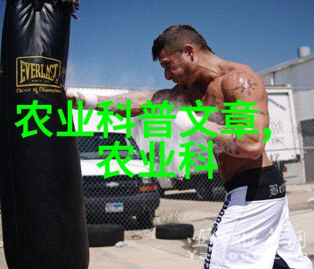 养殖Dinkum蜜蜂的技巧与要点