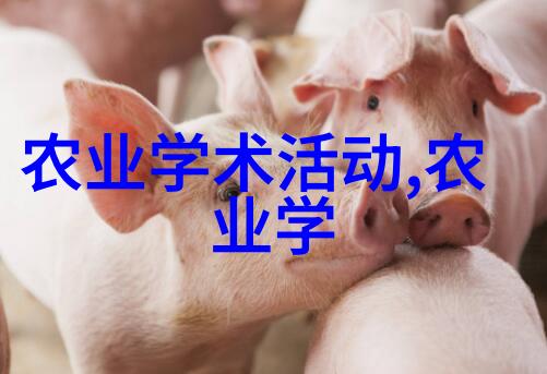 茶叶分类大盘点从绿茶到红茶再到黑茶每种都有故事
