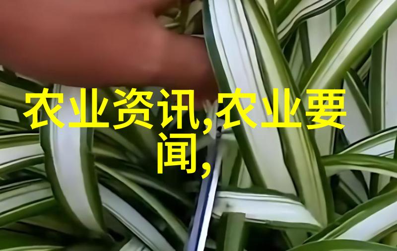 真实家庭水果照片 - 家庭园丁的骄傲亲手栽培的健康水果