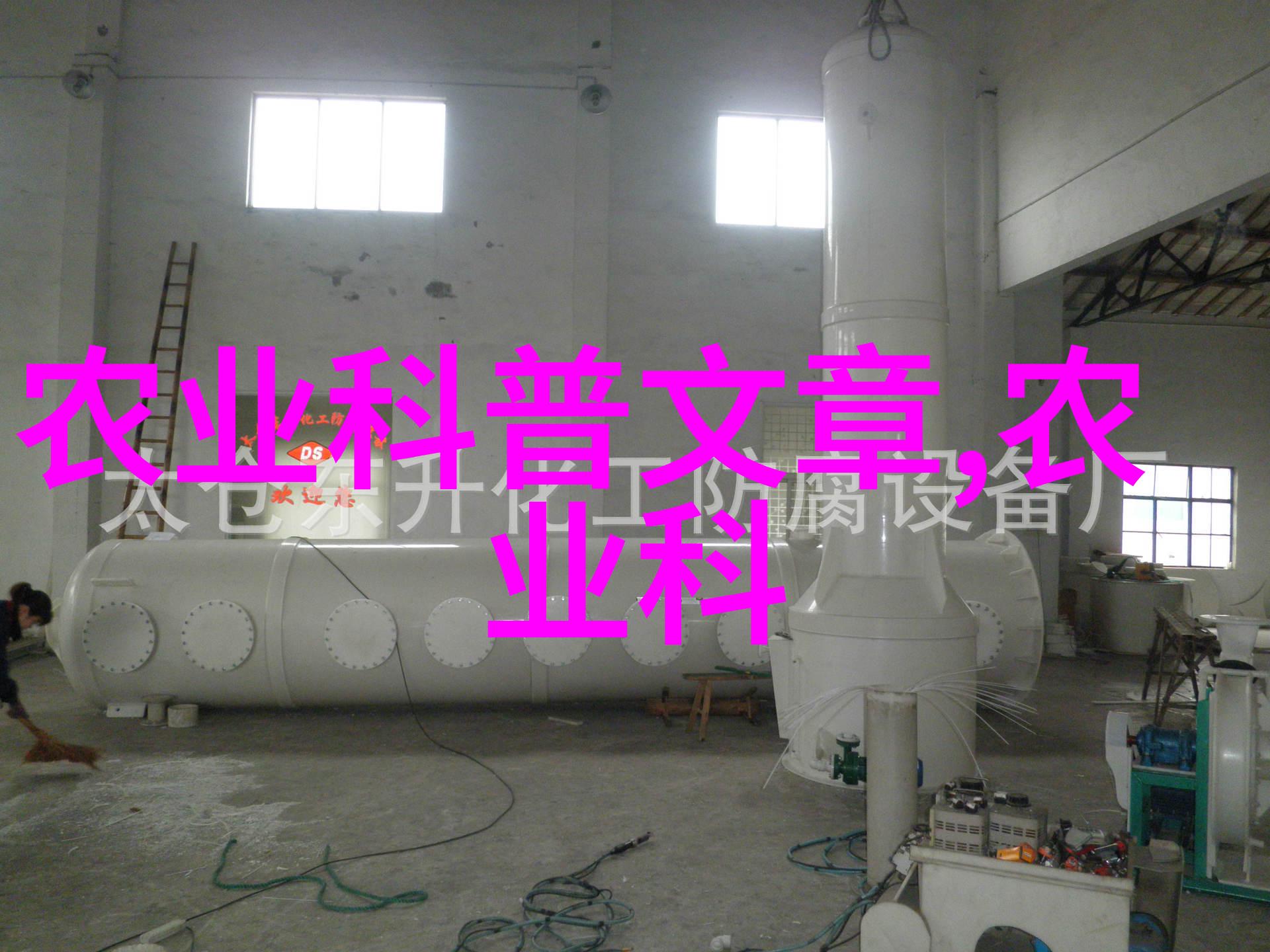 花园之室绚烂的色彩在盆栽中盛开