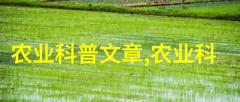 新型农业机械化技术革新提升作物种植效率