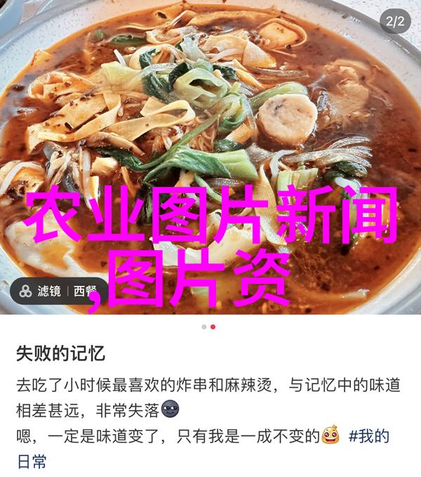 蜂起如何让蜜蜂成为你的新宠物