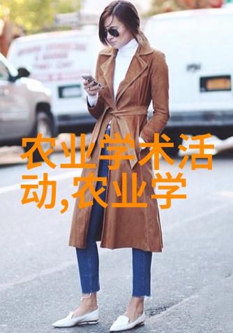 挖树机咱们的老伙计它是怎么一回事