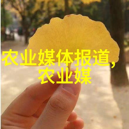 大数据时代下的中国农业机械化管理创新实践