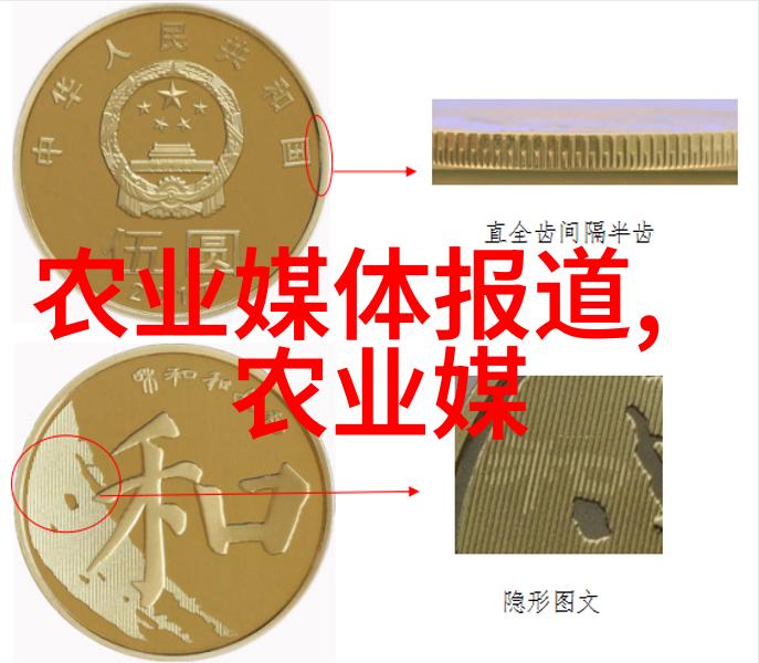 帝影轻纱宦妃之谜