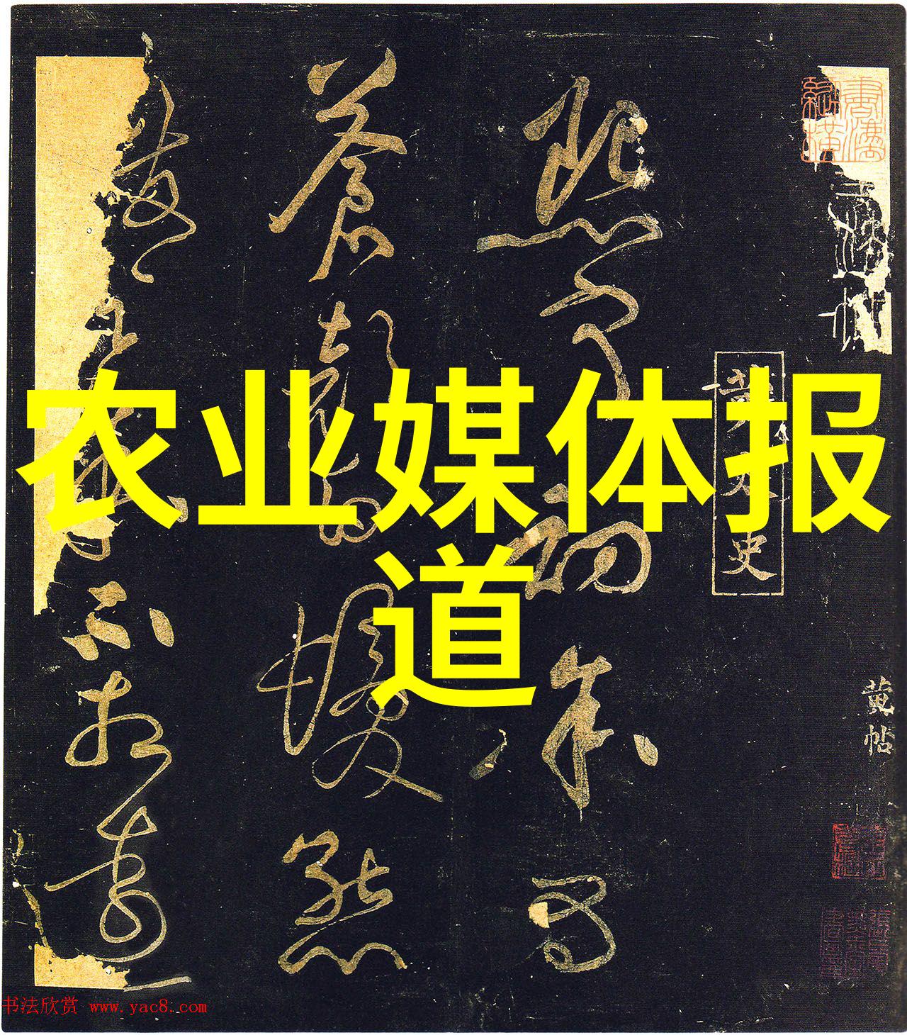 在规模化生产过程中如何实现高效低成本的南美白对虾养殖技术呢