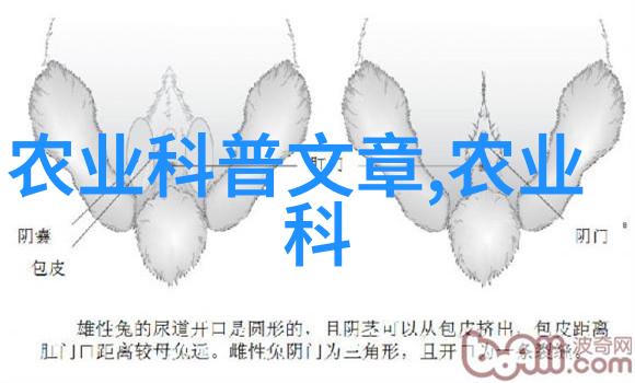 BB形态探究揭秘30种多变的设计风格