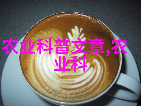 仓鼠毛茸茸的守护者