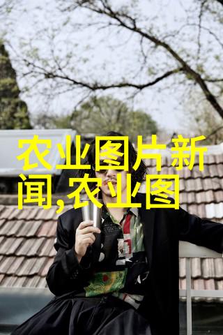 广西可以种植什么名贵中草药我在桂林的秘密花园揭秘那些能赚大钱的草药