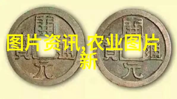 绿色蔬菜种植技术与生态环境互动研究