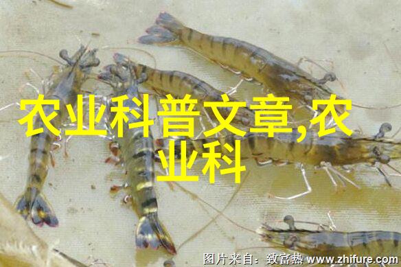 香料世界巡礼各种香料的图像与其来源介绍