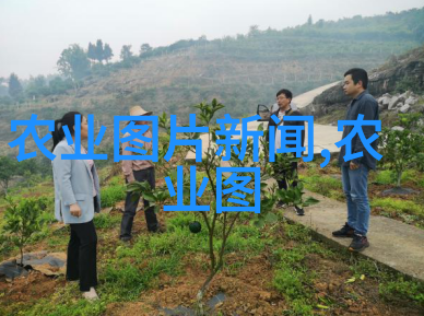 绿色未来蔬菜的无土奇迹