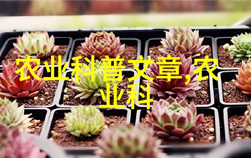 缓慢撞击车内力量的重复奏鸣
