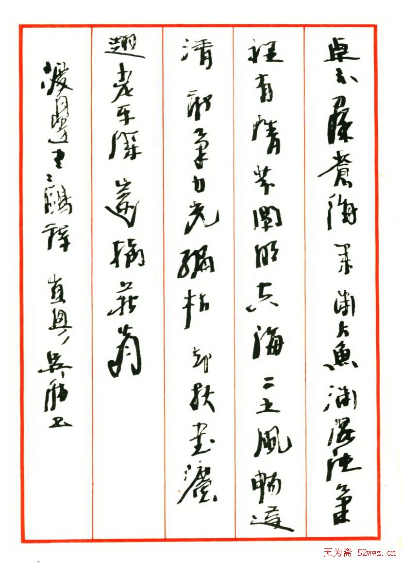 药材种植公司的绿色未来