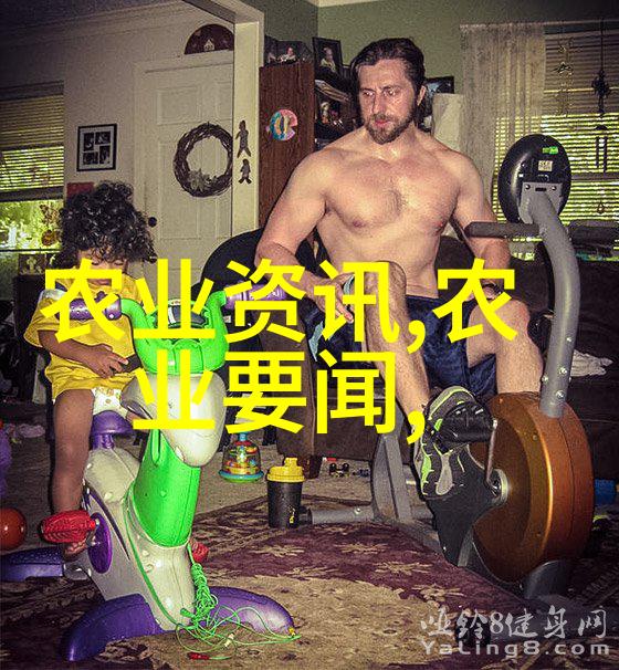 室内蔬菜种植指南选择适合家居的高产品种