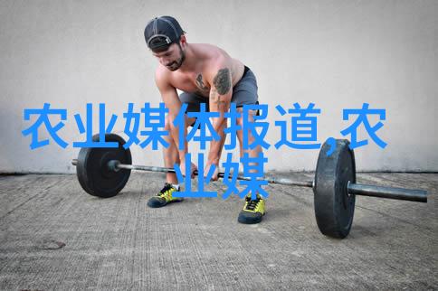 绿意盎然的甘蓝菜营养与烹饪秘诀