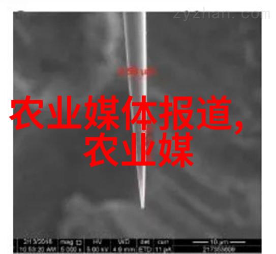 农资进销存台账管理系统-高效的农业供应链管理如何通过数字化提升农资进销存效率