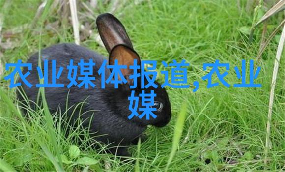 探索灵芝种植之谜揭秘可靠性与挑战