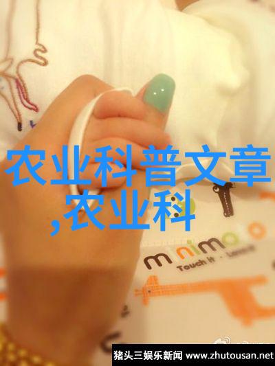 农村小工厂暴利乡村产业链的高回报模式