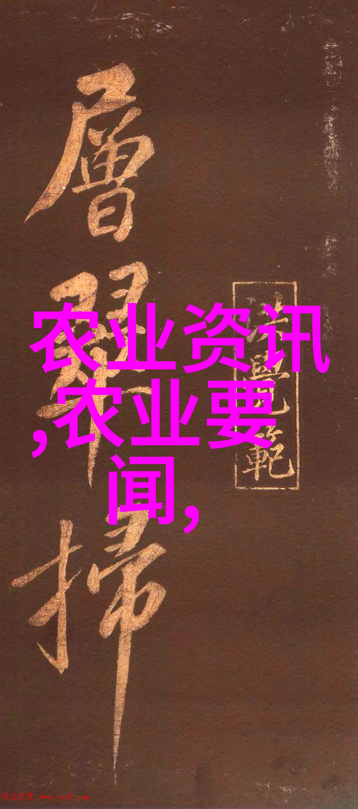 春日暖阳下的花海绘卷探秘花卉市场的魅力与挑战