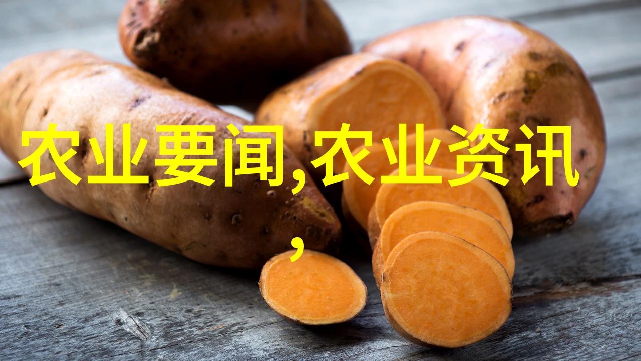 在不同季节下如何调整吸粪车的工作参数