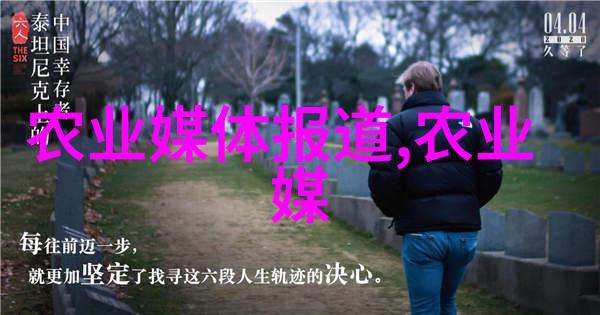 野生金线莲图片自然之美野外探索