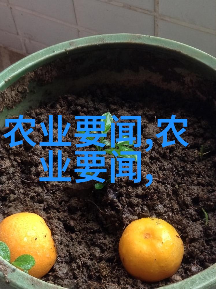 东北药材园辽宁的草本之冠