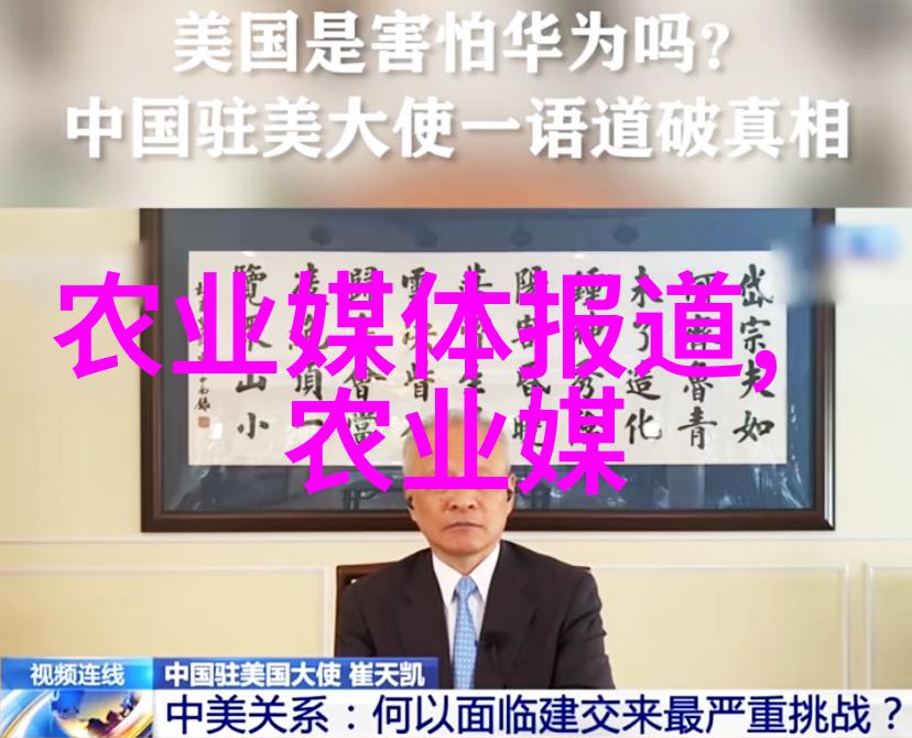温室十字花科蔬菜西葫芦的栽培之心倾听其需求呵护其成长
