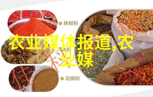龙井茶采摘特点在自然的怀抱中寻找茶叶商标的独特魅力