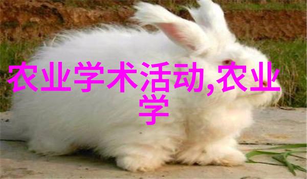 食材至上家庭自制肥料与有机养分