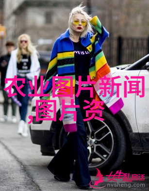 金华苗木网今日求购策略分享抓住好机会买到性价比高的植物资源