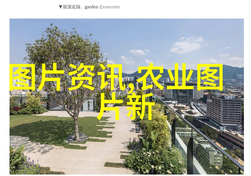 探索农业局支持的项目种类从种植业到畜牧业的全方位发展策略