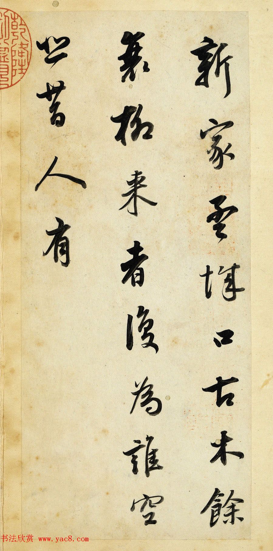茶窝网我在这里找到了味道的秘密基地