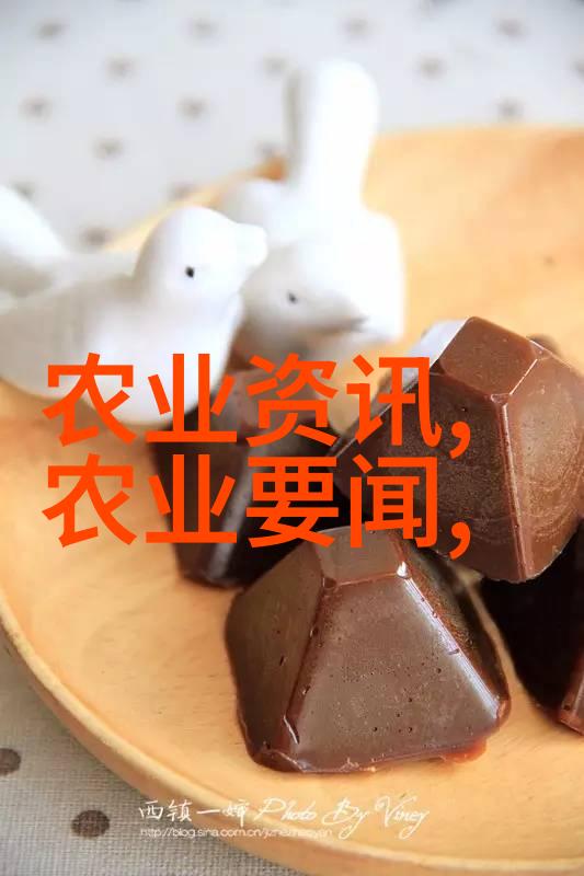 花卉种植技巧有哪些-精彩揭秘如何让你的园艺作品绽放至美