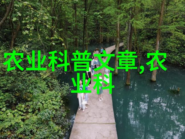 天堂里的老者一个关于记忆与和平的故事