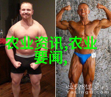 家庭盆景花卉图像集析探索家居美学与植物园艺的交汇点