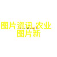 新手养蜂入门技术视频从基础知识到实战技巧