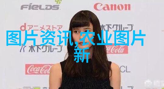 花园设计入门如何选择合适的花卉