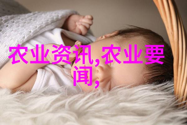香氛恋绘橘里橘气的浴室吻痕