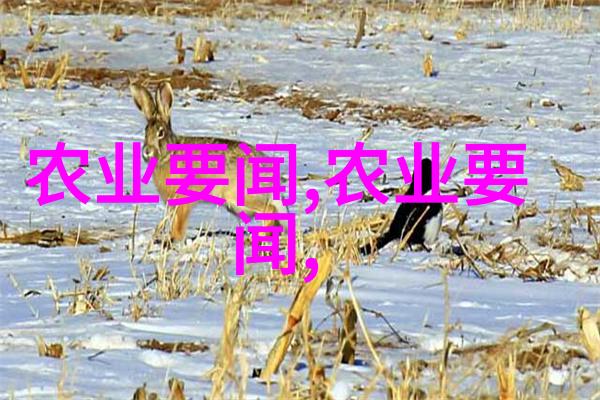 茶文化深度探究中国传统茶艺与现代饮用习惯