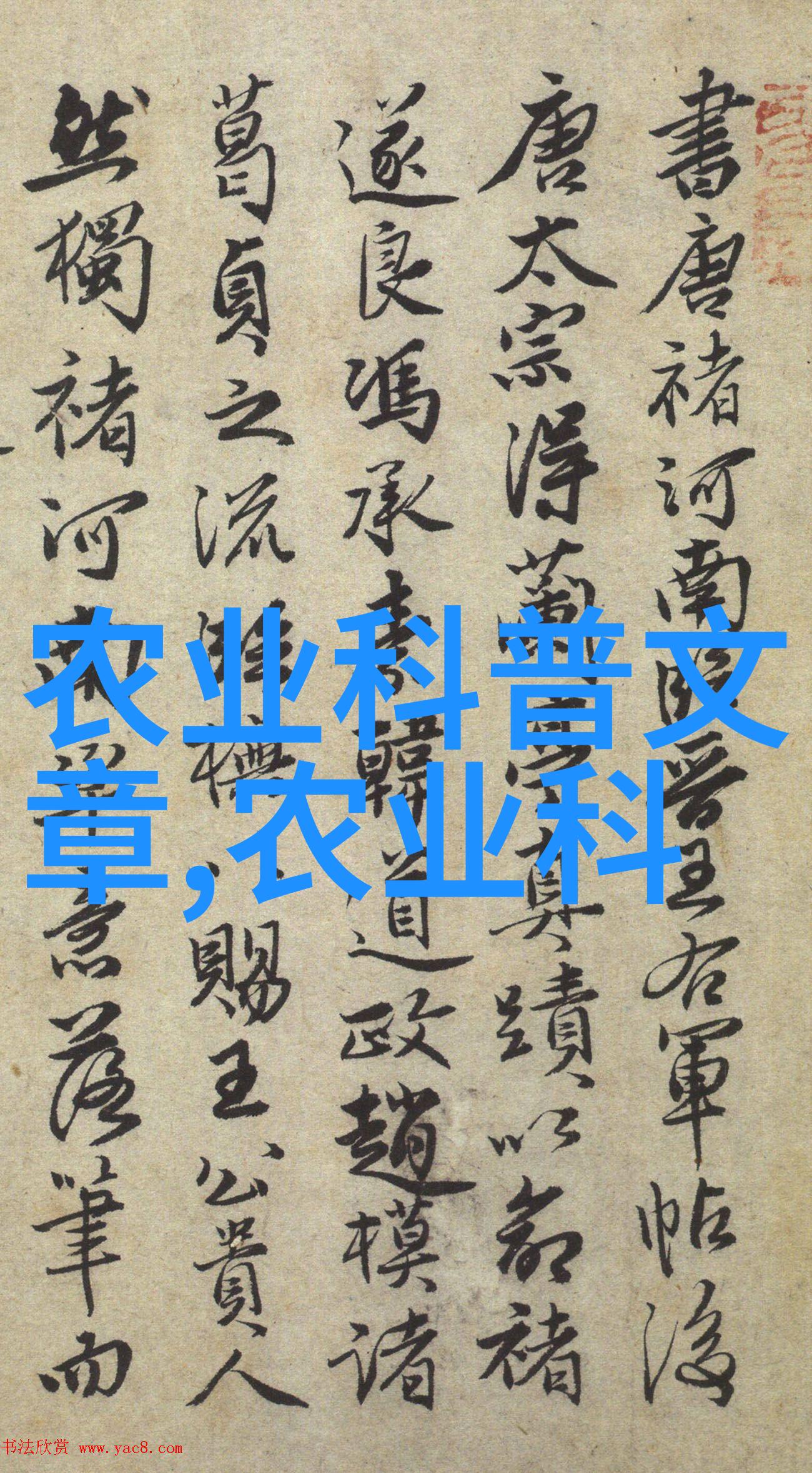 探秘中国绿茶之源从哪个时代起步的六大茶叶基本种类