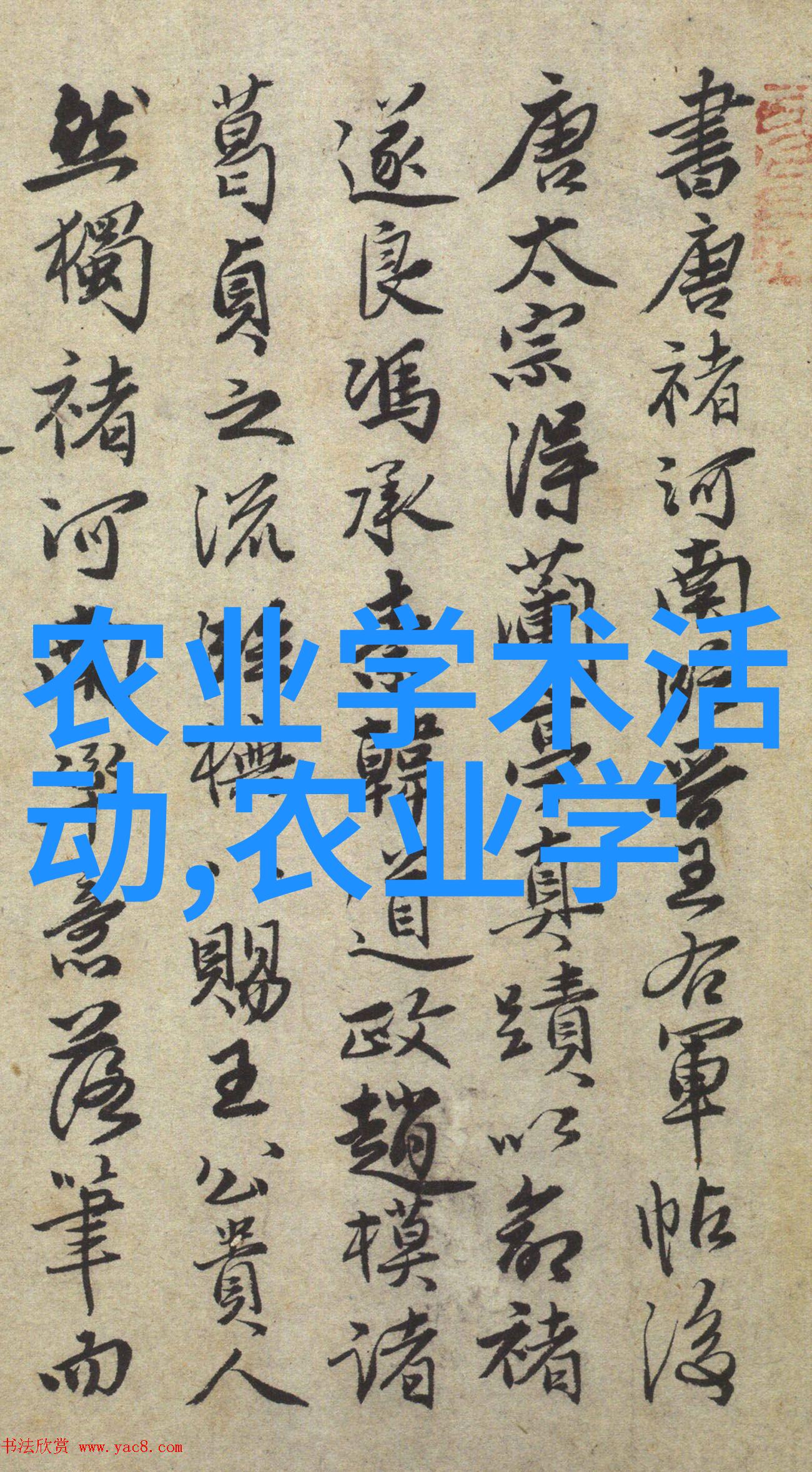 十字花科蔬菜之美从莴苣到菠菜的健康魅力
