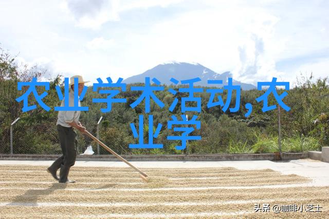 轻吟细语沉醉于茶韵谈论其特点之深度与广度