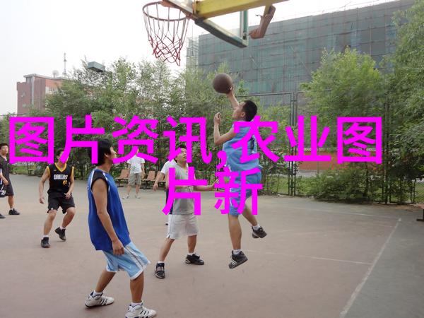 品茗寻源揭秘茶叶的药用奥秘